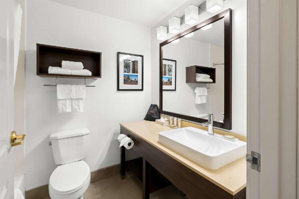 Country Inn & Suites by Radisson, Columbia Airport, SC image 14